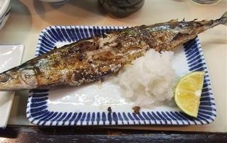 さんま9.jpg