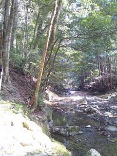 川瀧原宮34.jpg