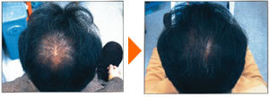 sample1.jpg